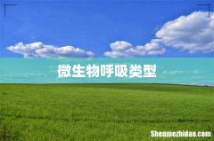 微生物呼吸类型