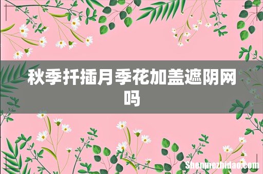 秋季扦插月季花加盖遮阴网吗