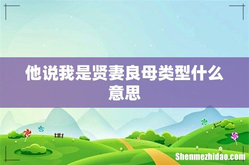他说我是贤妻良母类型什么意思