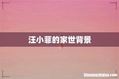 汪小菲的家世背景