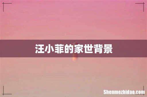 汪小菲的家世背景