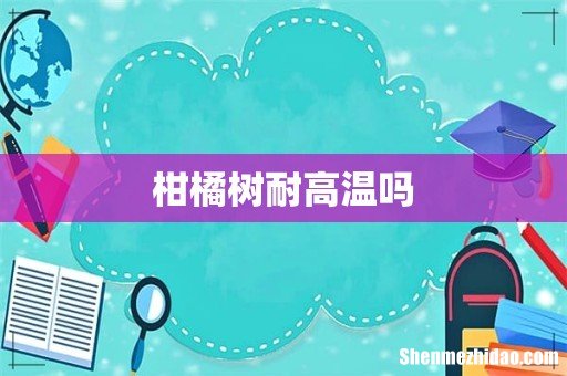 柑橘树耐高温吗