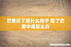 芒果坏了是什么样子 吃了芒果中毒怎么办