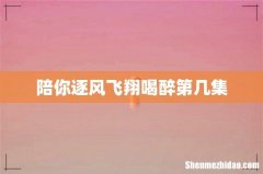 陪你逐风飞翔喝醉第几集