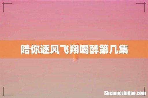 陪你逐风飞翔喝醉第几集