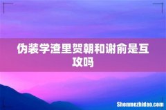 伪装学渣里贺朝和谢俞是互攻吗