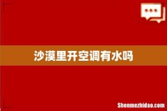 沙漠里开空调有水吗