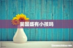 吴国盛有小孩吗