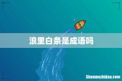 浪里白条是成语吗