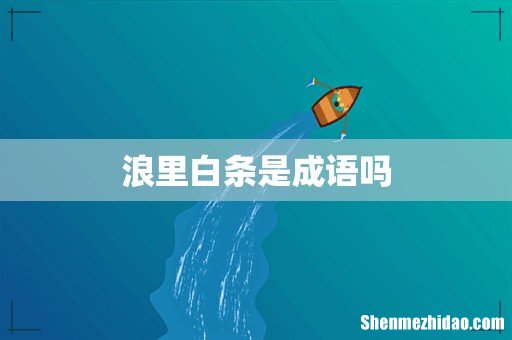 浪里白条是成语吗