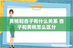 黄桃和杏子有什么关系 杏子和黄桃怎么区分