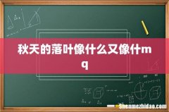 秋天的落叶像什么又像什mq