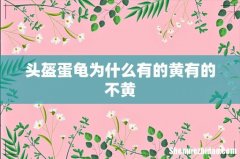 头盔蛋龟为什么有的黄有的不黄