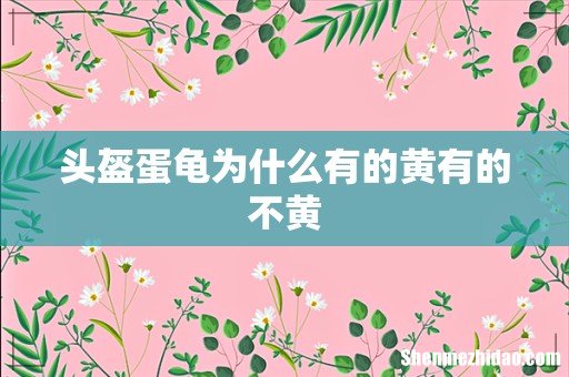 头盔蛋龟为什么有的黄有的不黄