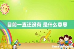 目前一直还没有 是什么意思