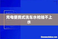 充电便携式洗车水枪抽不上水