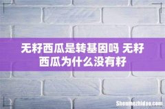 无籽西瓜是转基因吗 无籽西瓜为什么没有籽