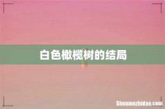 白色橄榄树的结局