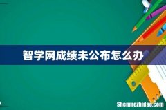 智学网成绩未公布怎么办
