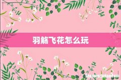 羽觞飞花怎么玩