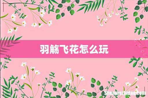 羽觞飞花怎么玩