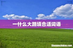 一什么大路填合适词语