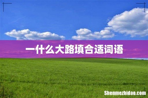 一什么大路填合适词语