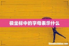 极坐标中的字母表示什么