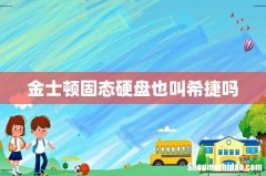 金士顿固态硬盘也叫希捷吗