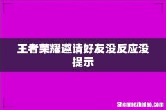 王者荣耀邀请好友没反应没提示