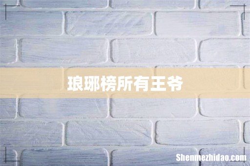 琅琊榜所有王爷