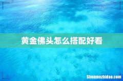 黄金佛头怎么搭配好看