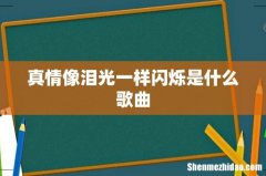 真情像泪光一样闪烁是什么歌曲