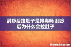 刮痧后拉肚子是排毒吗 刮痧后为什么会拉肚子