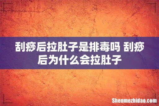 刮痧后拉肚子是排毒吗 刮痧后为什么会拉肚子