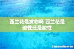 西兰花是发物吗 西兰花是碱性还是酸性