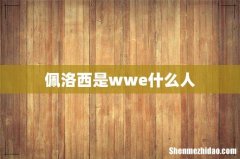 佩洛西是wwe什么人