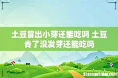 土豆冒出小芽还能吃吗 土豆青了没发芽还能吃吗