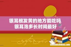 银耳根发黄的地方能吃吗 银耳泡多长时间最好