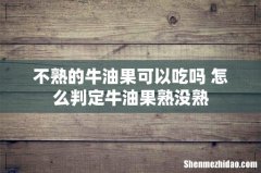 不熟的牛油果可以吃吗 怎么判定牛油果熟没熟