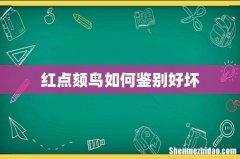 红点颏鸟如何鉴别好坏