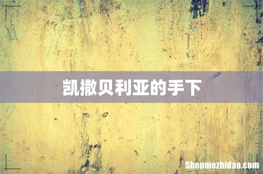 凯撒贝利亚的手下