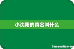 小沈阳的真名叫什么