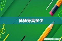 孙杨身高多少