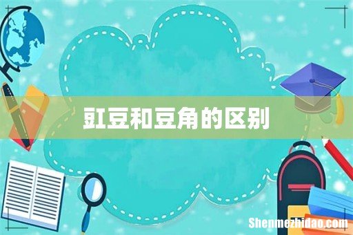 豇豆和豆角的区别