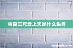 雪高三尺云上天是什么生肖