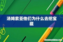 汤姆索亚他们为什么去挖宝藏