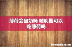 薄荷会回奶吗 哺乳期可以吃薄荷吗