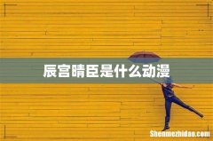 辰宫晴臣是什么动漫