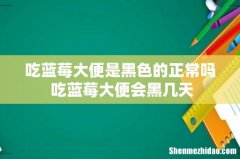吃蓝莓大便是黑色的正常吗 吃蓝莓大便会黑几天
